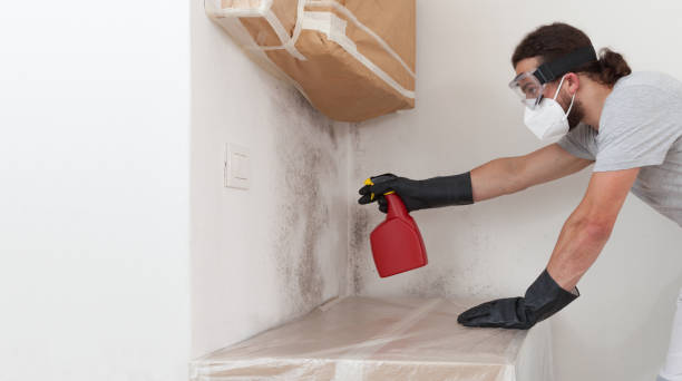 Professional Crawl Space Mold Remediation technician working in Monkton, MD